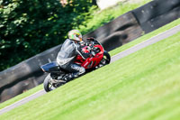 PJ-Motorsport-Photography-2020;anglesey;brands-hatch;cadwell-park;croft;donington-park;enduro-digital-images;event-digital-images;eventdigitalimages;mallory;no-limits;oulton-park;peter-wileman-photography;racing-digital-images;silverstone;snetterton;trackday-digital-images;trackday-photos;vmcc-banbury-run;welsh-2-day-enduro
